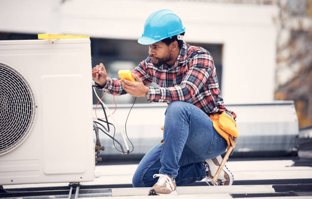 Best Electric Panel Repair  in Homewood, SC